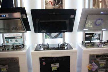 2010順德家電展 華強(qiáng)集團(tuán)全系家用電器閃耀登場