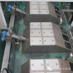 花園式污水處理技術 FCR技術交流與轉讓