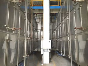 安德里茨與澳華集團(tuán)第二個(gè)合作項(xiàng)目順利投產(chǎn)，深化技術(shù)交流合作